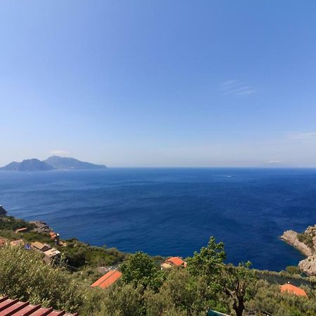 Villino Capri Coast Villa Massa Lubrense Ngoại thất bức ảnh